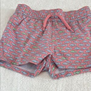 Starting Out Pink and Green Casual Shorts with Elastic Waistband